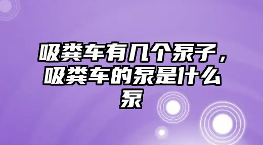 吸糞車有幾個(gè)泵子，吸糞車的泵是什么泵