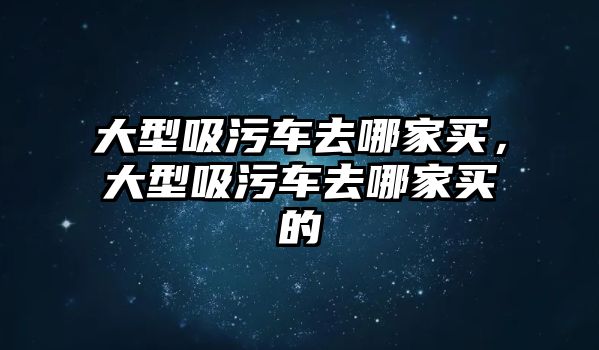 大型吸污車去哪家買，大型吸污車去哪家買的