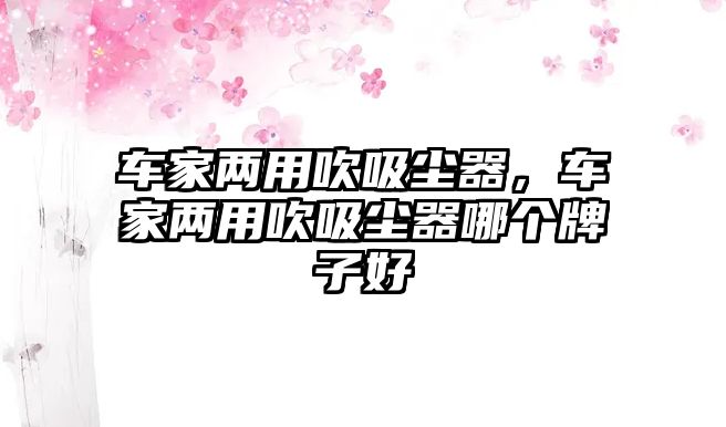 車家兩用吹吸塵器，車家兩用吹吸塵器哪個(gè)牌子好