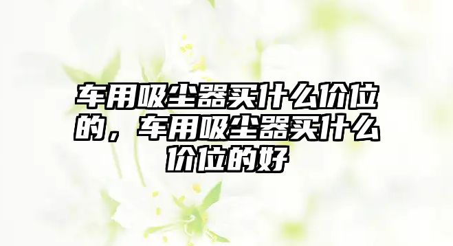 車用吸塵器買什么價(jià)位的，車用吸塵器買什么價(jià)位的好