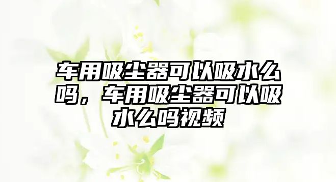 車用吸塵器可以吸水么嗎，車用吸塵器可以吸水么嗎視頻