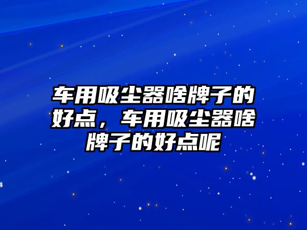 車用吸塵器啥牌子的好點，車用吸塵器啥牌子的好點呢