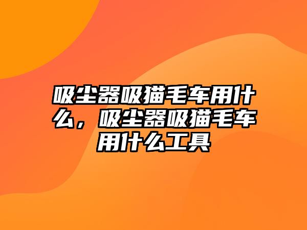 吸塵器吸貓毛車用什么，吸塵器吸貓毛車用什么工具