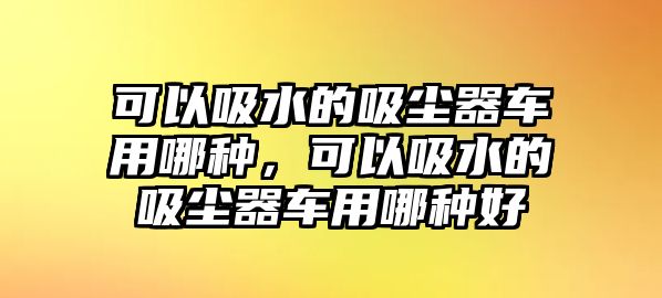 可以吸水的吸塵器車用哪種，可以吸水的吸塵器車用哪種好