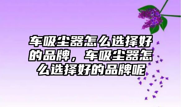 車吸塵器怎么選擇好的品牌，車吸塵器怎么選擇好的品牌呢