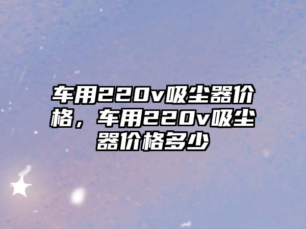 車用220v吸塵器價格，車用220v吸塵器價格多少