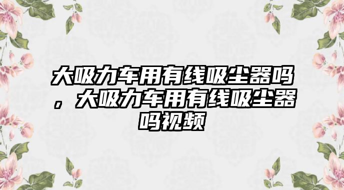 大吸力車用有線吸塵器嗎，大吸力車用有線吸塵器嗎視頻