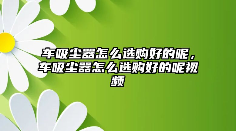 車吸塵器怎么選購好的呢，車吸塵器怎么選購好的呢視頻