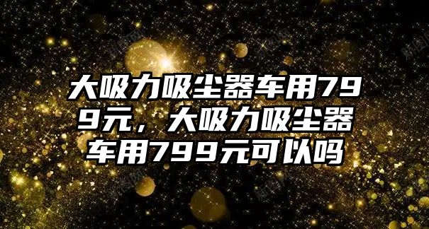 大吸力吸塵器車用799元，大吸力吸塵器車用799元可以嗎