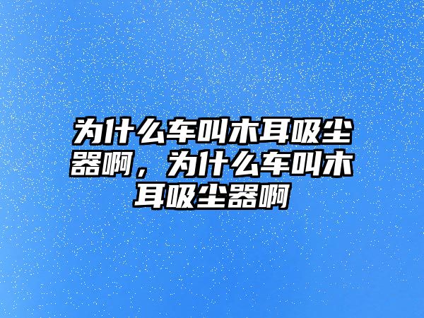 為什么車叫木耳吸塵器啊，為什么車叫木耳吸塵器啊