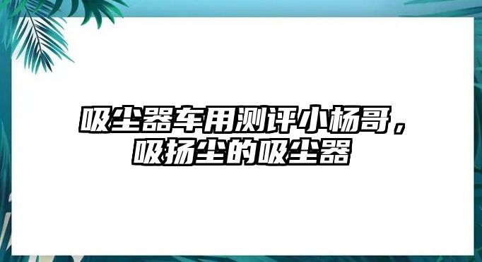 吸塵器車用測評小楊哥，吸揚(yáng)塵的吸塵器