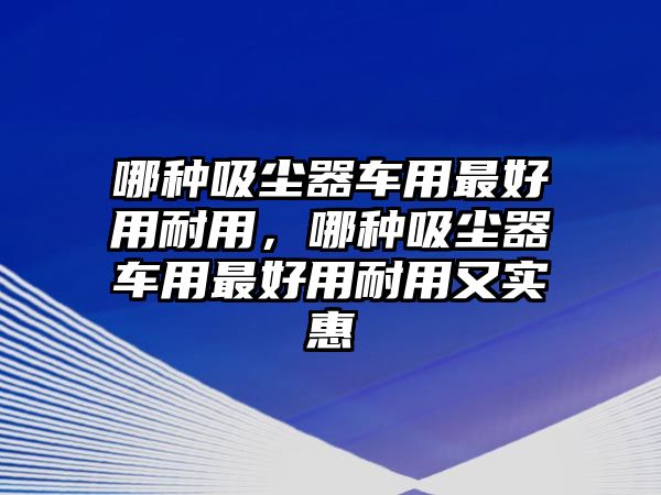 哪種吸塵器車用最好用耐用，哪種吸塵器車用最好用耐用又實(shí)惠