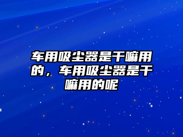 車用吸塵器是干嘛用的，車用吸塵器是干嘛用的呢