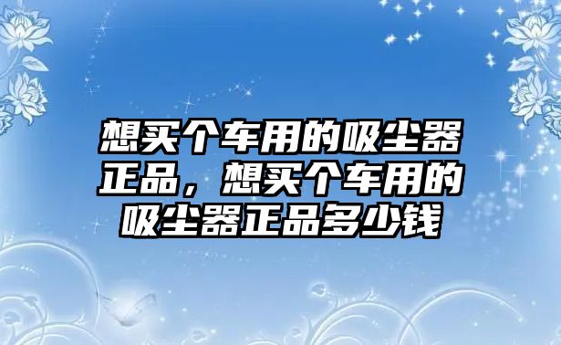 想買個車用的吸塵器正品，想買個車用的吸塵器正品多少錢