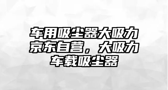 車用吸塵器大吸力京東自營，大吸力車載吸塵器