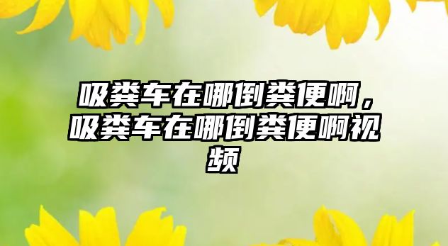 吸糞車在哪倒糞便啊，吸糞車在哪倒糞便啊視頻