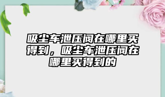 吸塵車泄壓閥在哪里買得到，吸塵車泄壓閥在哪里買得到的