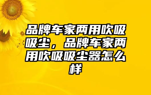 品牌車家兩用吹吸吸塵，品牌車家兩用吹吸吸塵器怎么樣