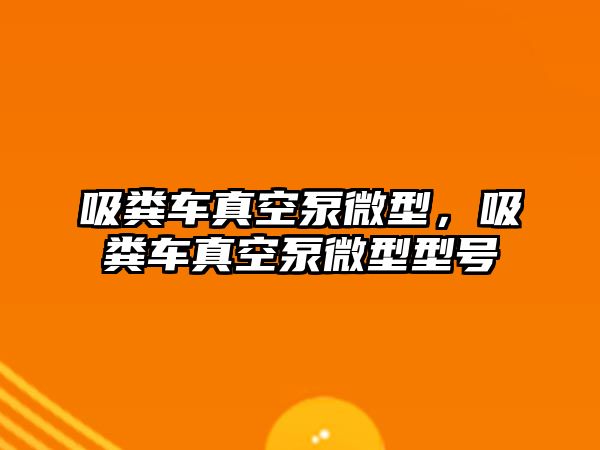 吸糞車真空泵微型，吸糞車真空泵微型型號