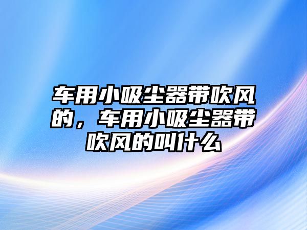 車用小吸塵器帶吹風(fēng)的，車用小吸塵器帶吹風(fēng)的叫什么