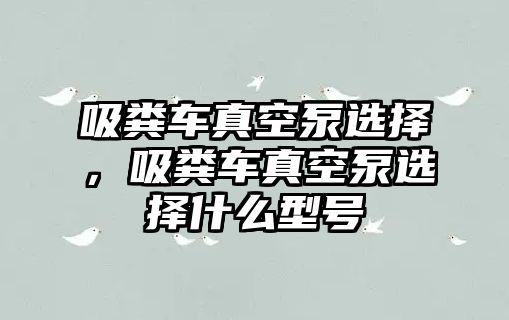 吸糞車真空泵選擇，吸糞車真空泵選擇什么型號