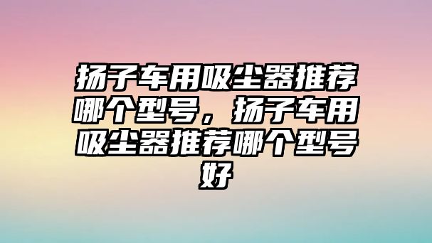 揚子車用吸塵器推薦哪個型號，揚子車用吸塵器推薦哪個型號好