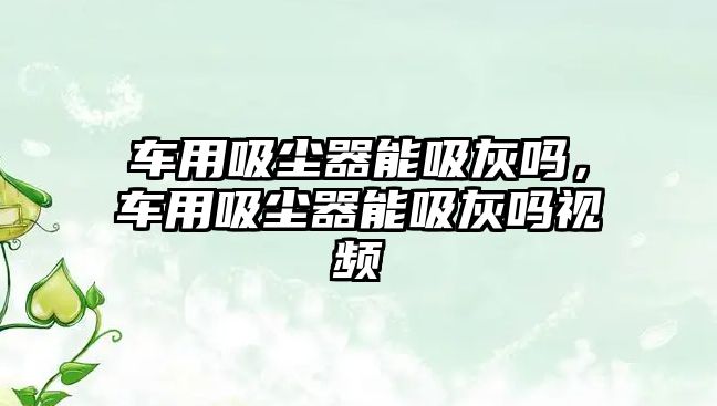 車用吸塵器能吸灰嗎，車用吸塵器能吸灰嗎視頻