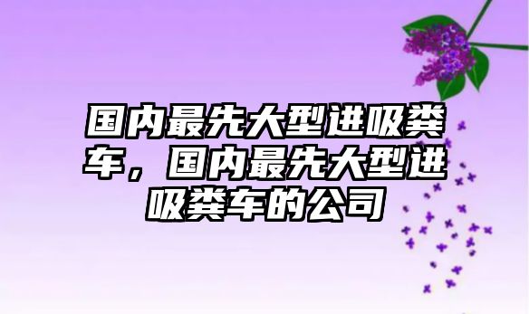 國內(nèi)最先大型進(jìn)吸糞車，國內(nèi)最先大型進(jìn)吸糞車的公司