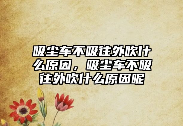 吸塵車不吸往外吹什么原因，吸塵車不吸往外吹什么原因呢