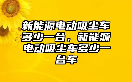 新能源電動吸塵車多少一臺，新能源電動吸塵車多少一臺車