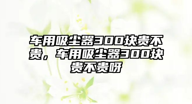 車用吸塵器300塊貴不貴，車用吸塵器300塊貴不貴呀