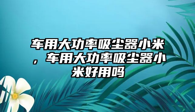 車用大功率吸塵器小米，車用大功率吸塵器小米好用嗎