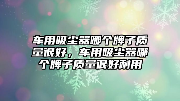 車用吸塵器哪個(gè)牌子質(zhì)量很好，車用吸塵器哪個(gè)牌子質(zhì)量很好耐用