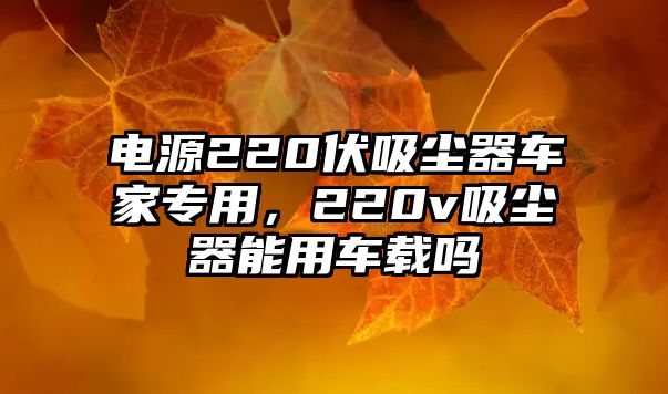 電源220伏吸塵器車家專用，220v吸塵器能用車載嗎