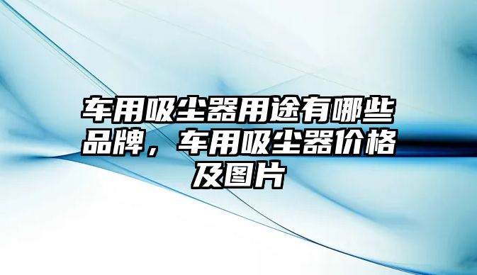 車用吸塵器用途有哪些品牌，車用吸塵器價(jià)格及圖片