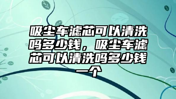 吸塵車濾芯可以清洗嗎多少錢，吸塵車濾芯可以清洗嗎多少錢一個(gè)