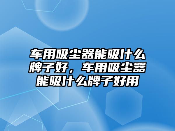 車用吸塵器能吸什么牌子好，車用吸塵器能吸什么牌子好用