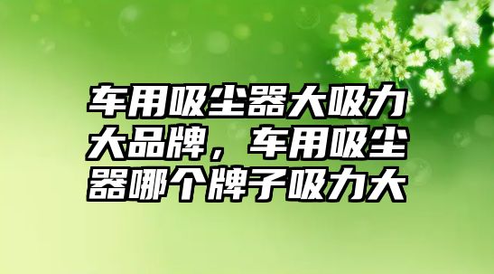 車用吸塵器大吸力大品牌，車用吸塵器哪個(gè)牌子吸力大