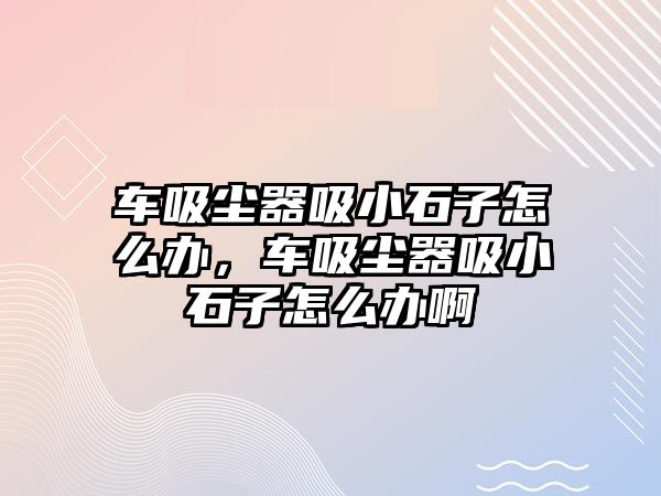 車吸塵器吸小石子怎么辦，車吸塵器吸小石子怎么辦啊