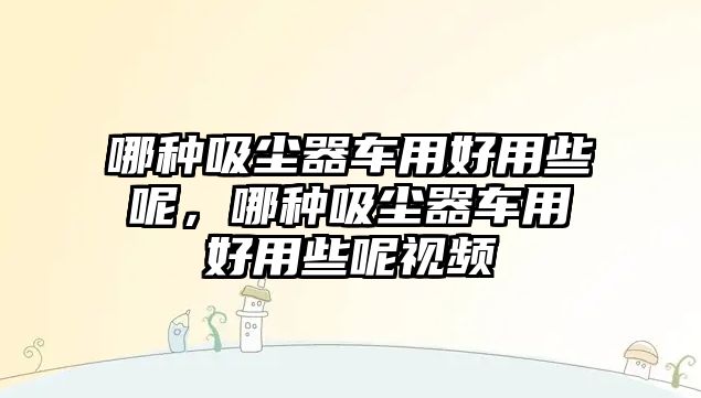 哪種吸塵器車用好用些呢，哪種吸塵器車用好用些呢視頻