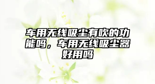 車用無線吸塵有吹的功能嗎，車用無線吸塵器好用嗎