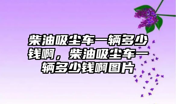 柴油吸塵車一輛多少錢啊，柴油吸塵車一輛多少錢啊圖片