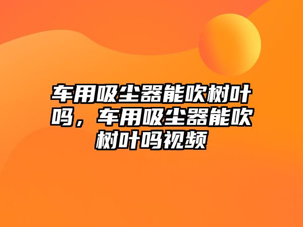 車用吸塵器能吹樹葉嗎，車用吸塵器能吹樹葉嗎視頻