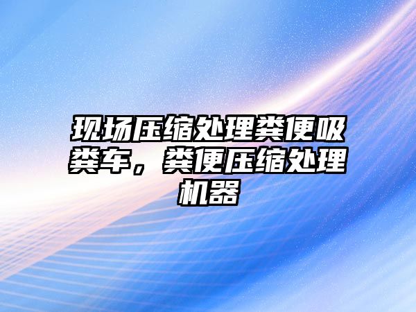 現(xiàn)場壓縮處理糞便吸糞車，糞便壓縮處理機器