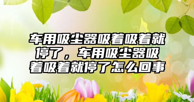 車用吸塵器吸著吸著就停了，車用吸塵器吸著吸著就停了怎么回事