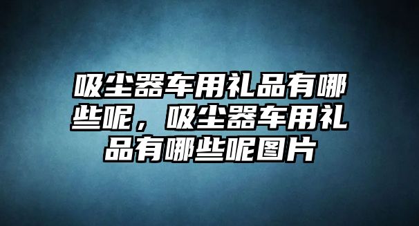 吸塵器車用禮品有哪些呢，吸塵器車用禮品有哪些呢圖片