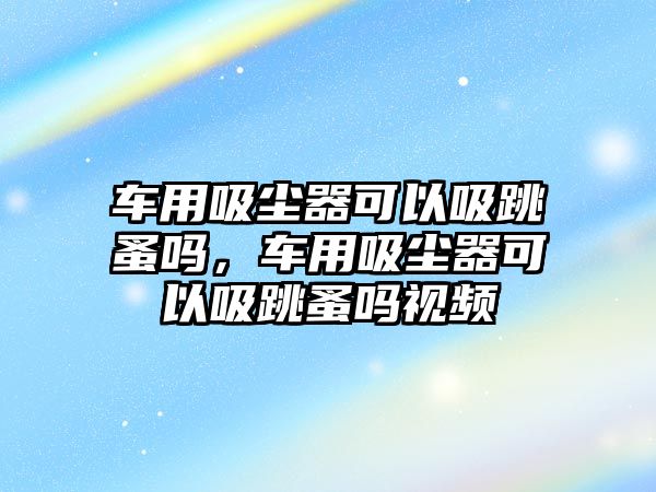 車用吸塵器可以吸跳蚤嗎，車用吸塵器可以吸跳蚤嗎視頻