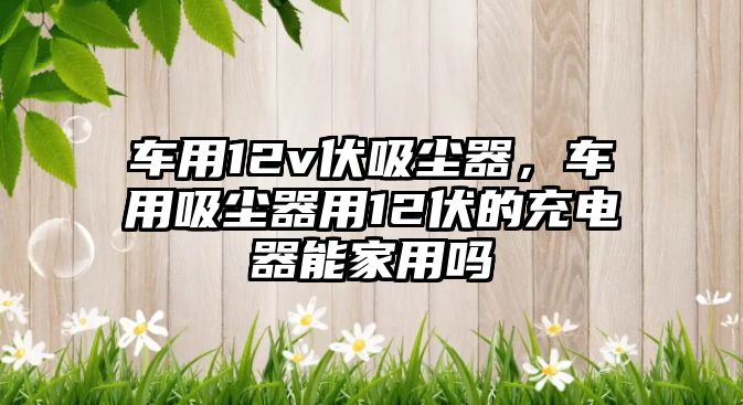 車用12v伏吸塵器，車用吸塵器用12伏的充電器能家用嗎