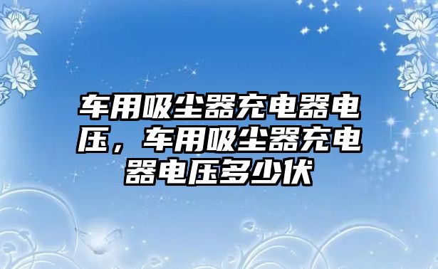 車用吸塵器充電器電壓，車用吸塵器充電器電壓多少伏