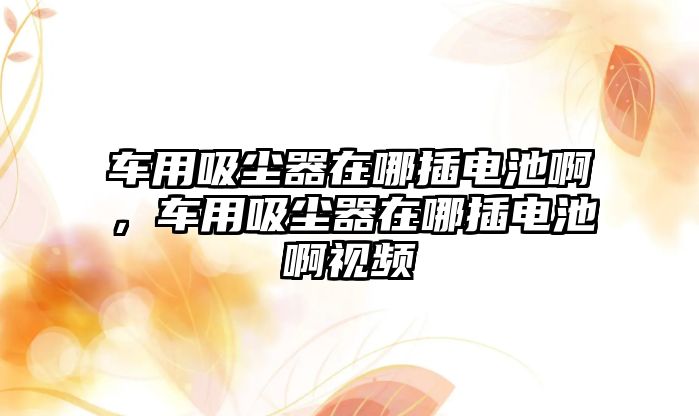 車用吸塵器在哪插電池啊，車用吸塵器在哪插電池啊視頻